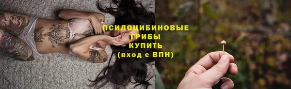 прущие крисы Алзамай