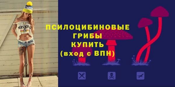 ПСИЛОЦИБИНОВЫЕ ГРИБЫ Абдулино